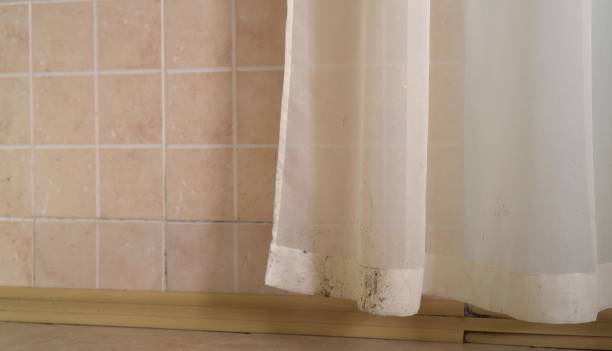 Best Air Quality Testing for Mold Spores  in Willcox, AZ