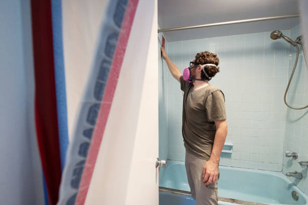 Best Biohazard Mold Removal  in Willcox, AZ