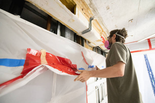 Best Water Damage & Mold Remediation  in Willcox, AZ