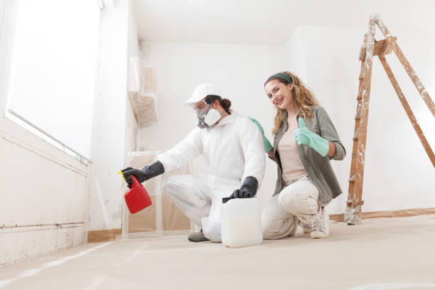 Best Dehumidification Services  in Willcox, AZ
