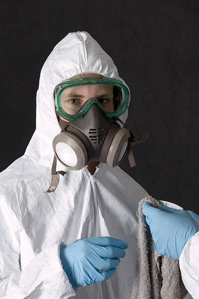 Best Attic Mold Removal  in Willcox, AZ